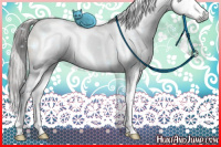 Horse Color:Gray White Spotted Brown Pearl Dun Sabino Splash Rabicano 