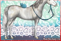 Horse Color:White Spotted Silver Buckskin Pearl Onyx Sabino Splash 