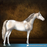 Horse Color:Chocolate Palomino Pearl Onyx Sabino Tobiano 