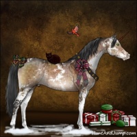 Horse Color:Brown Dun Sabino Brindle 