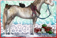 Horse Color:White Spotted Liver Red Dun Onyx Sabino Splash Brindle