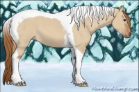 Horse Color:Red Dun Tobiano 