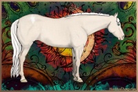 Horse Color:Silver Perlino Dun Appaloosa