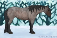 Horse Color:Brown Roan 