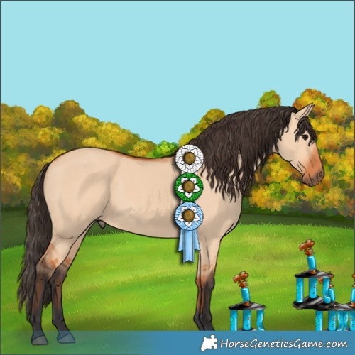 Horse Color:Bay Dun 