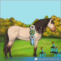 Horse Color:Bay Dun