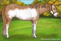 Horse Color:Chestnut Splash Frame  and Chestnut Splash Frame 