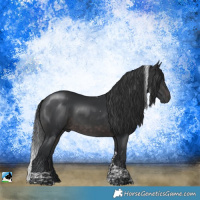 Horse Color:Platinum Brown Tobiano Rabicano 