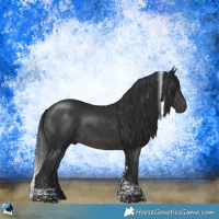 Horse Color:Platinum Brown Tobiano Rabicano 