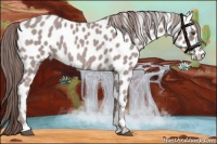 Horse Color:Platinum Chestnut Appaloosa 