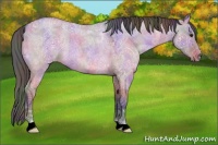 Horse Color:Nacre Bay Ice Roan Dun 