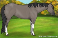 Horse Color:Grullo Tobiano 