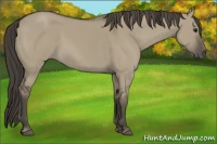 Horse Color:Smoky Grullo 