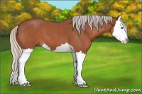 Horse Color:Silver Brown Roan Splash 
