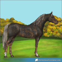 Horse Color:Chocolate Palomino Mushroom  and Liver Chestnut Mushroom 