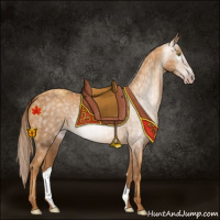Horse Color:Gray Gold Champagne 