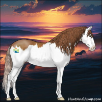 Horse Color:Chestnut Sabino Splash 
