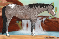 Horse Color:Gray Bay Ice Sabino Appaloosa 