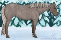 Horse Color:Silver Blue Roan