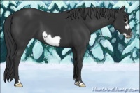 Horse Color:Black Frame 
