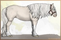 Horse Color:Cremello Roan Tobiano