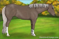 Horse Color:Silver Black 