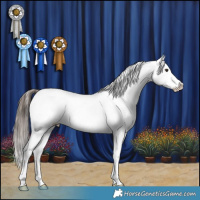 Horse Color:Liver Chestnut Sabino Varnish 