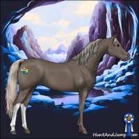 Horse Color:Silver Black 