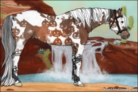 Horse Color:Bay Splash Tobiano