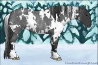 Horse Color:White Spotted Blue Roan Rabicano 