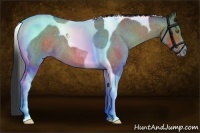 Horse Color:Bay Roan Tobiano Varnish 