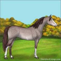 Horse Color:Platinum White Spotted Chocolate Brown Dun 