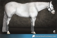 Horse Color:Platinum Grullo Roan Pearl Splash 