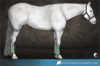 Horse Color:Platinum Grullo Roan Pearl Splash 