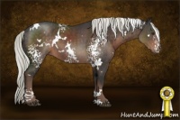 Horse Color:White Spotted Liver Chestnut Mushroom 