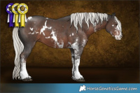 Horse Color:White Spotted Liver Chestnut Mushroom