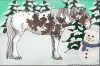 Horse Color:White Spotted Silver Black Mushroom Sabino 