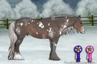 Horse Color:White Spotted Silver Black Mushroom 