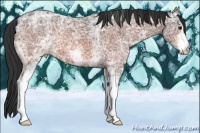 Horse Color:White Spotted Bay Ice 