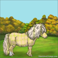 Horse Color:Plaid  Palomino Dun 