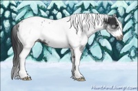 Horse Color:White Spotted Black Splash Tobiano Frame Appaloosa 