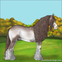 Horse Color:Platinum Red Onyx Sabino