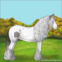 Horse Color:Smoky Black Ice Sabino Splash Tobiano 