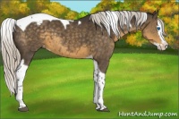 Horse Color:Silver Smoky Black Splash Tobiano Varnish 