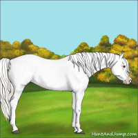 Horse Color:Silver Smoky Grullo Splash Tobiano Varnish 