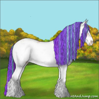Horse Color:Painted Bay Ice Sabino Appaloosa 
