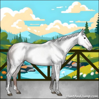 Horse Color:Gray Bay 