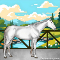 Horse Color:Gray Chestnut 