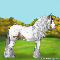 Horse Color:Bay Ice Sabino Splash Tobiano Appaloosa Rabicano 