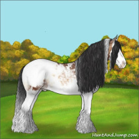 Horse Color:White Spotted Bay Ice Onyx Splash Appaloosa 